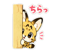855575568