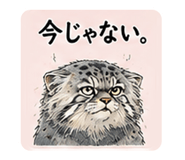 855575709
