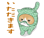 855576765