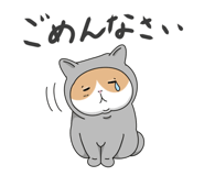 855576767