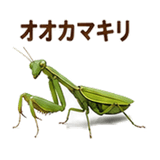 855577500