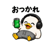 855577621