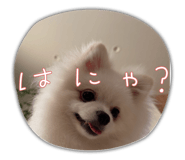 855577749