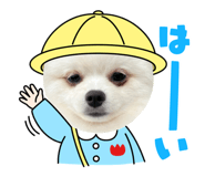855577756