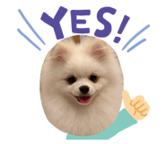 855577760