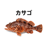 855577969