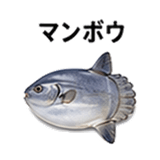855577971