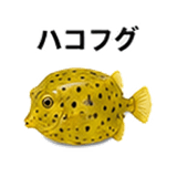 855577973