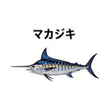 855577984