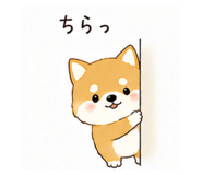 855577998