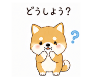 855577999
