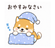 855578002