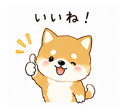 855578008