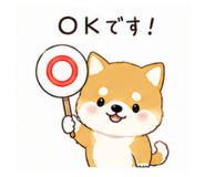 855578009