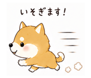 855578011