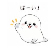 855578506