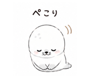 855578508
