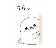 855578510