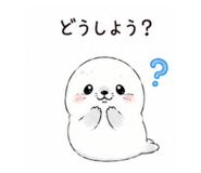 855578511