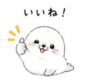 855578520
