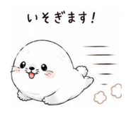 855578523