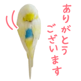 855578530
