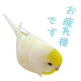 855578531