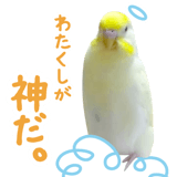 855578532