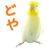 855578535