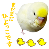 855578537