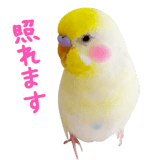 855578538