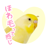 855578542