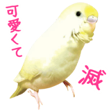 855578545