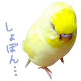 855578546