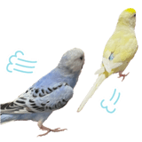 855578547