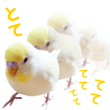 855578551
