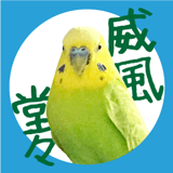 855578560