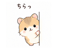 855578566