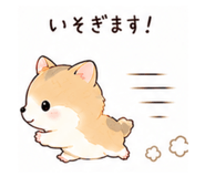 855578579