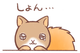 855578747
