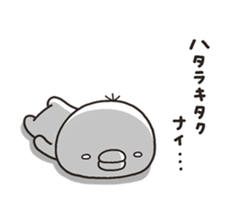 8555791