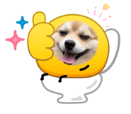 855580280