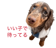 855580335