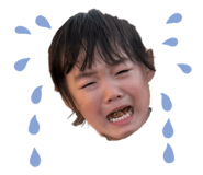 855580455