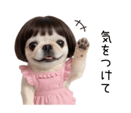 855580643