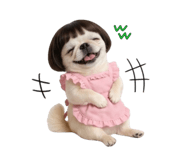 855580646