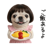 855580650