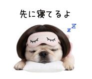 855580655