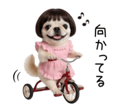 855580665