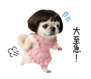 855580666